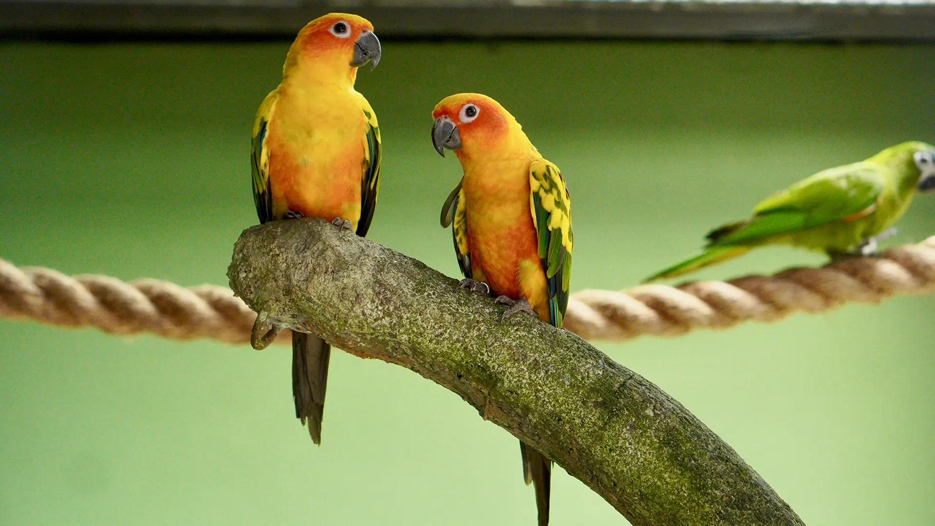 Last-Minute Looks Also Deserve First-Class Attention