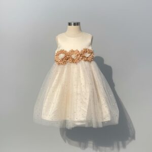 Ball Gown - Gold Colour